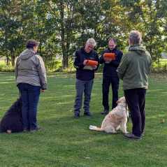 fed415ef-3d06-488e-8e62-ec1bc916e01b