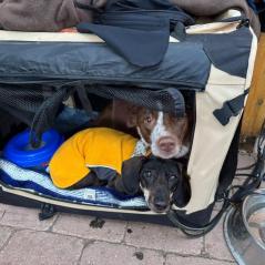 7ee61991-1397-490d-ade9-b60fb33c52a6