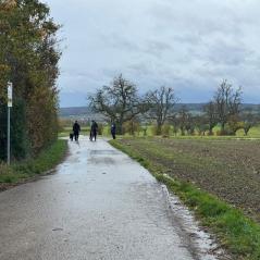 985733ef-66f4-40b5-bd2f-15f1cb8b1e82