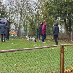 CB1E386C-7C00-4805-9C34-8B7799B911C3