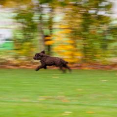 IMG_9858