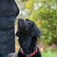 IMG_0009
