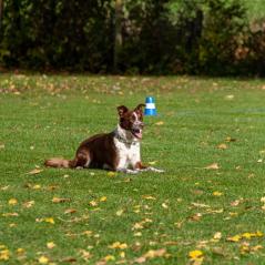 IMG_0063