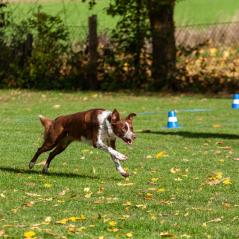 IMG_0064