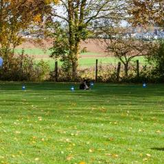 IMG_9896