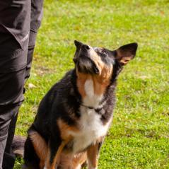 IMG_9905