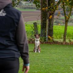 IMG_9983