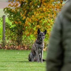 IMG_9984