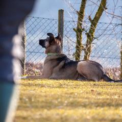 IMG_1050