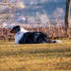 IMG_1071