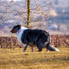 IMG_1072