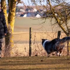 IMG_1079