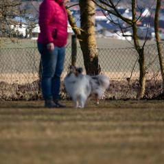 IMG_1098
