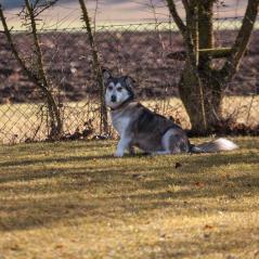 IMG_1115