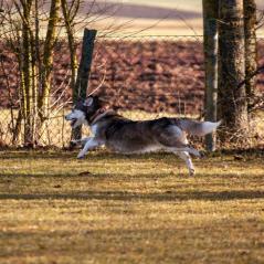 IMG_1120