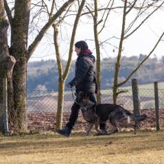 IMG_1148
