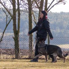 IMG_1156