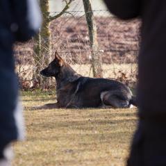IMG_1161