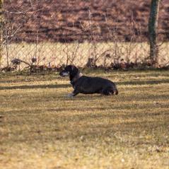 IMG_1194