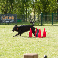 IMG_1682