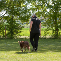 IMG_1699