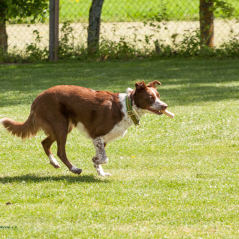 IMG_1761