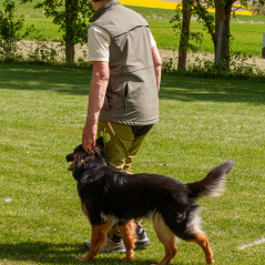 IMG_1795