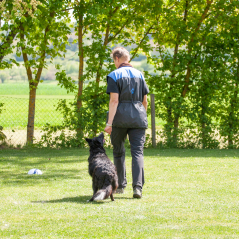 IMG_1849