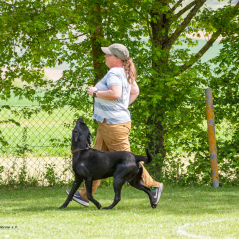 IMG_1886
