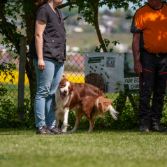 IMG_2014