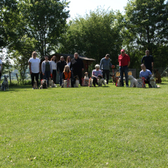 IMG_0889