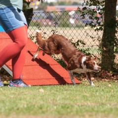 IMG_2296