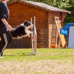 IMG_2419
