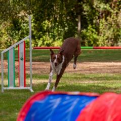 IMG_2692
