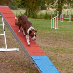 IMG_2771