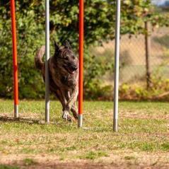IMG_2807