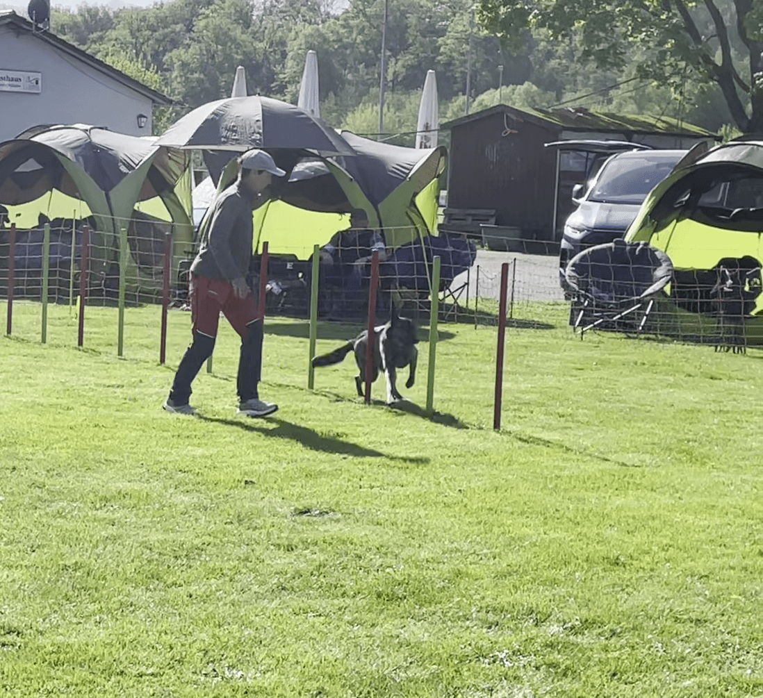 vlcsnap-2026-04-27-08h33m17s081