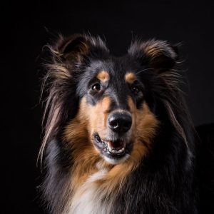 Fiona